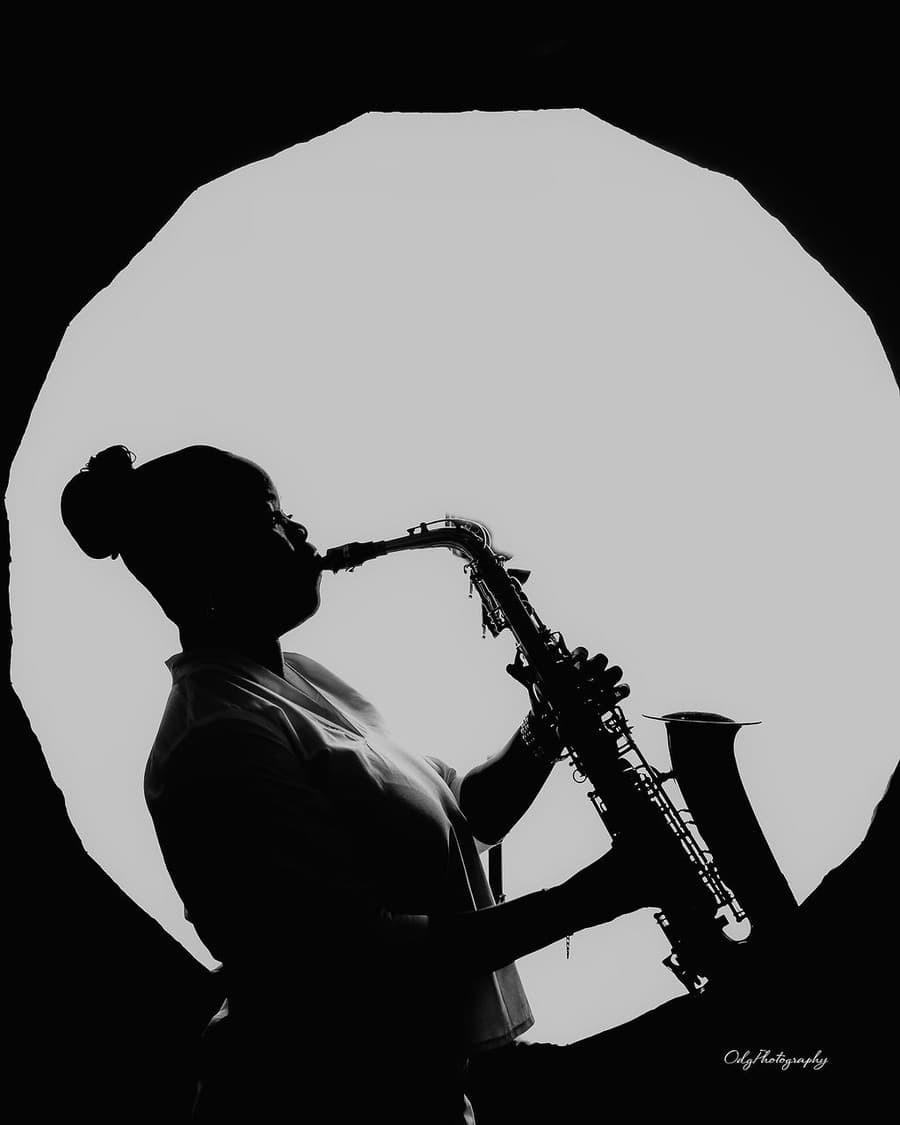 Funmisax silhouette